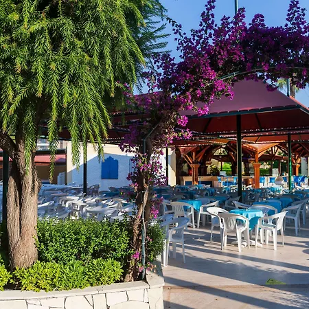 Miramare Queen سيدي